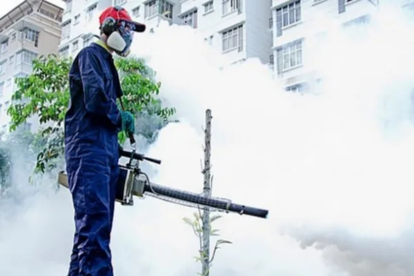 Rodent Pest Control Services