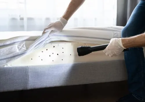 Bed Bug Control