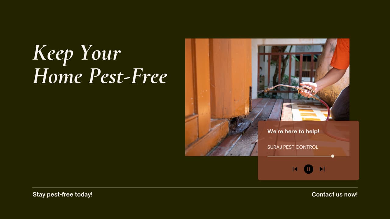 Keep Your Home Pest-Free: We're Here to Help