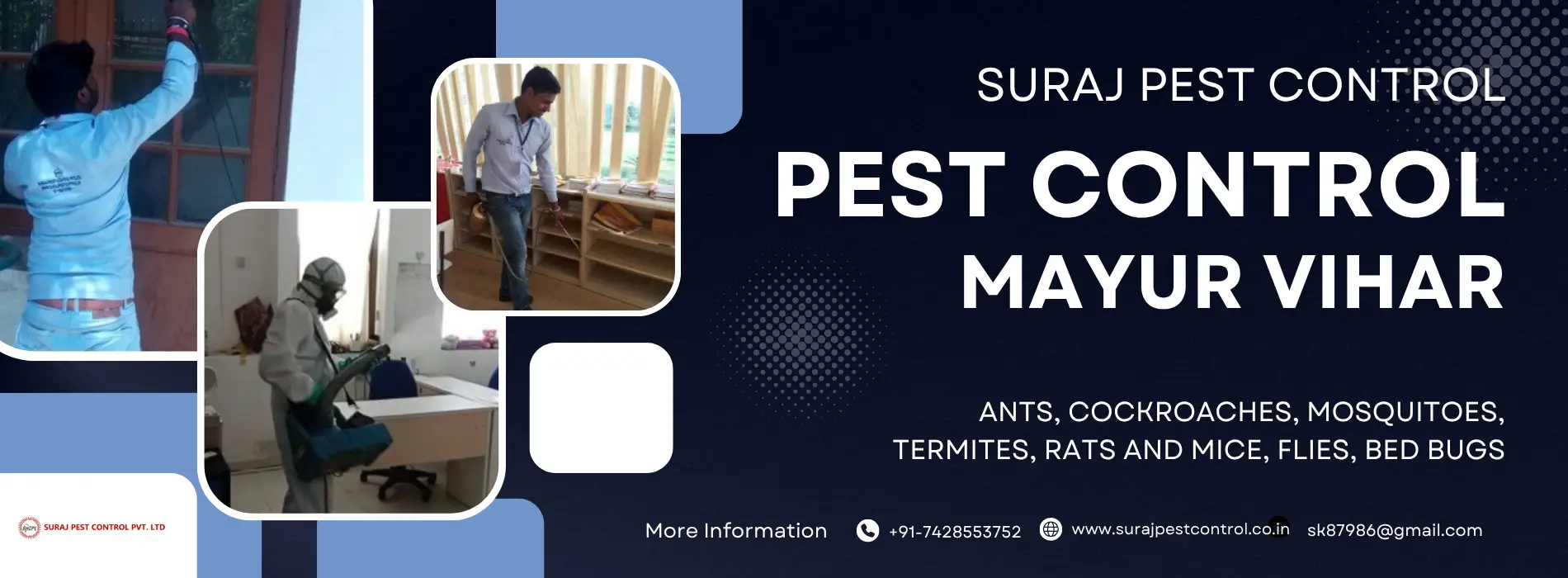 Pest Control Services in Mayur Vihar