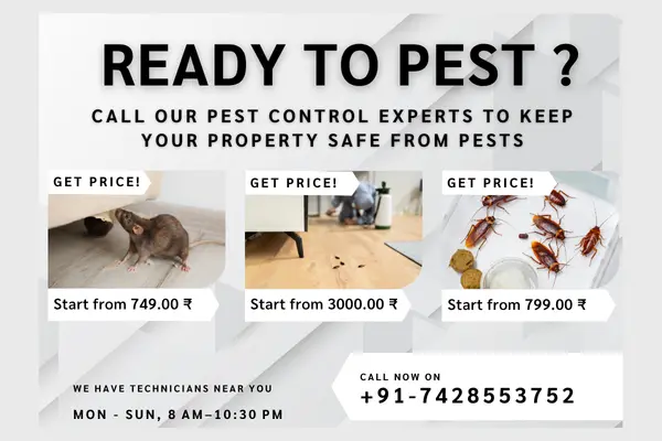 pest control Delhi