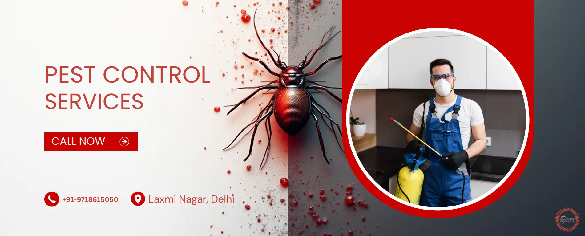 Pest Control Services in Laxmi Nagar
