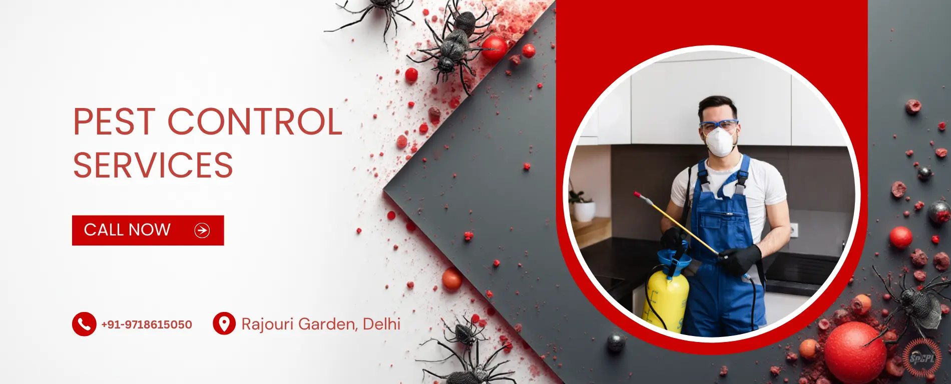 Pest Control Services in Rajouri Garden