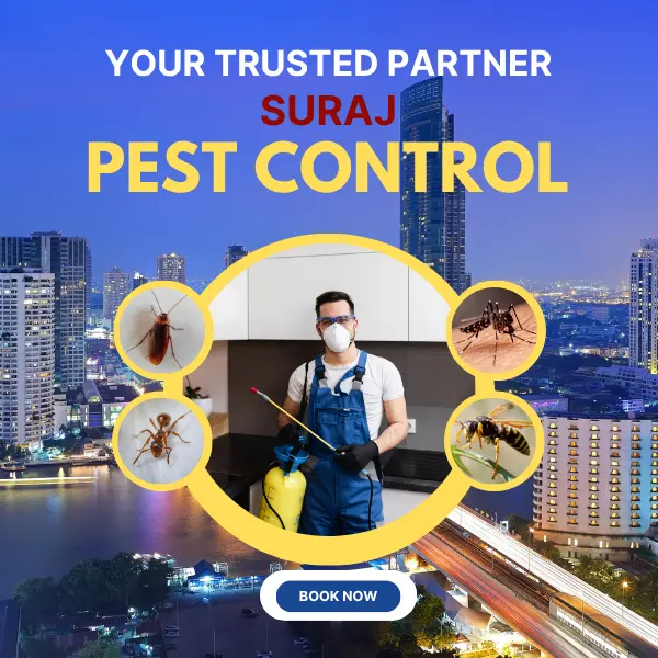 Pest Control in Dwarka