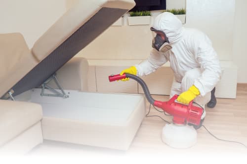 General Pest Control