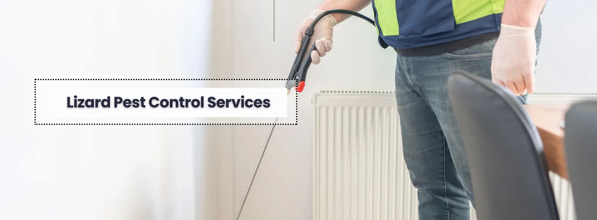 Lizard Pest Services