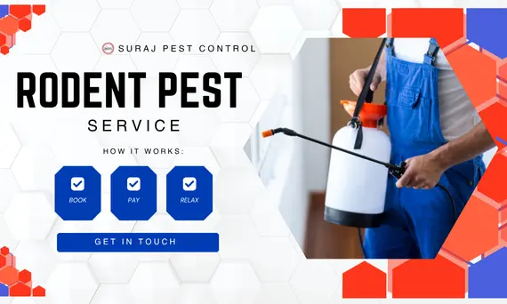 Rodent Pest Control Services